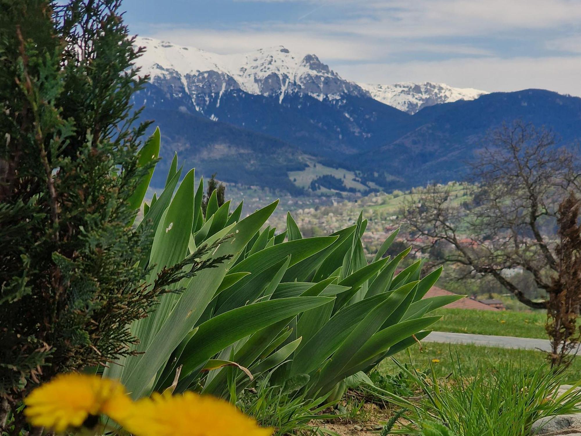 Plai Din Bran Villa Bran  Dış mekan fotoğraf
